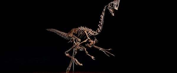 Аукционный дома Кристм проведут торги «Первопроходцы: Иконы нашего времени» 11 ноября, на который будет выставлен отлично сохранившийся скелет динозавр. Речь идет об останках полувзрослой особи ценагнатиды живший 68 миллионов лет […]