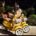 Vespa выпустила специальную ограниченную серию скутеров Vespa x Gigi, которую можно назвать воплощением солнечного света, для тех, чья жизнь — это бесконечное путешествие, а душа жаждет новых горизонтов. Они посвящены [&hellip;]
